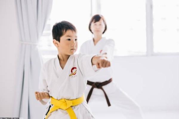 日本青少年参与的主要体育项目有哪些？